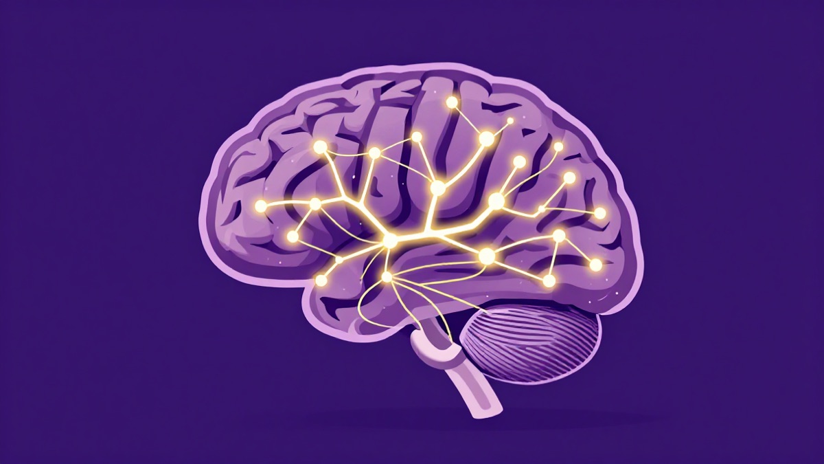 Neuroplasticity: How to Rewire Your Brain for Faster Learning